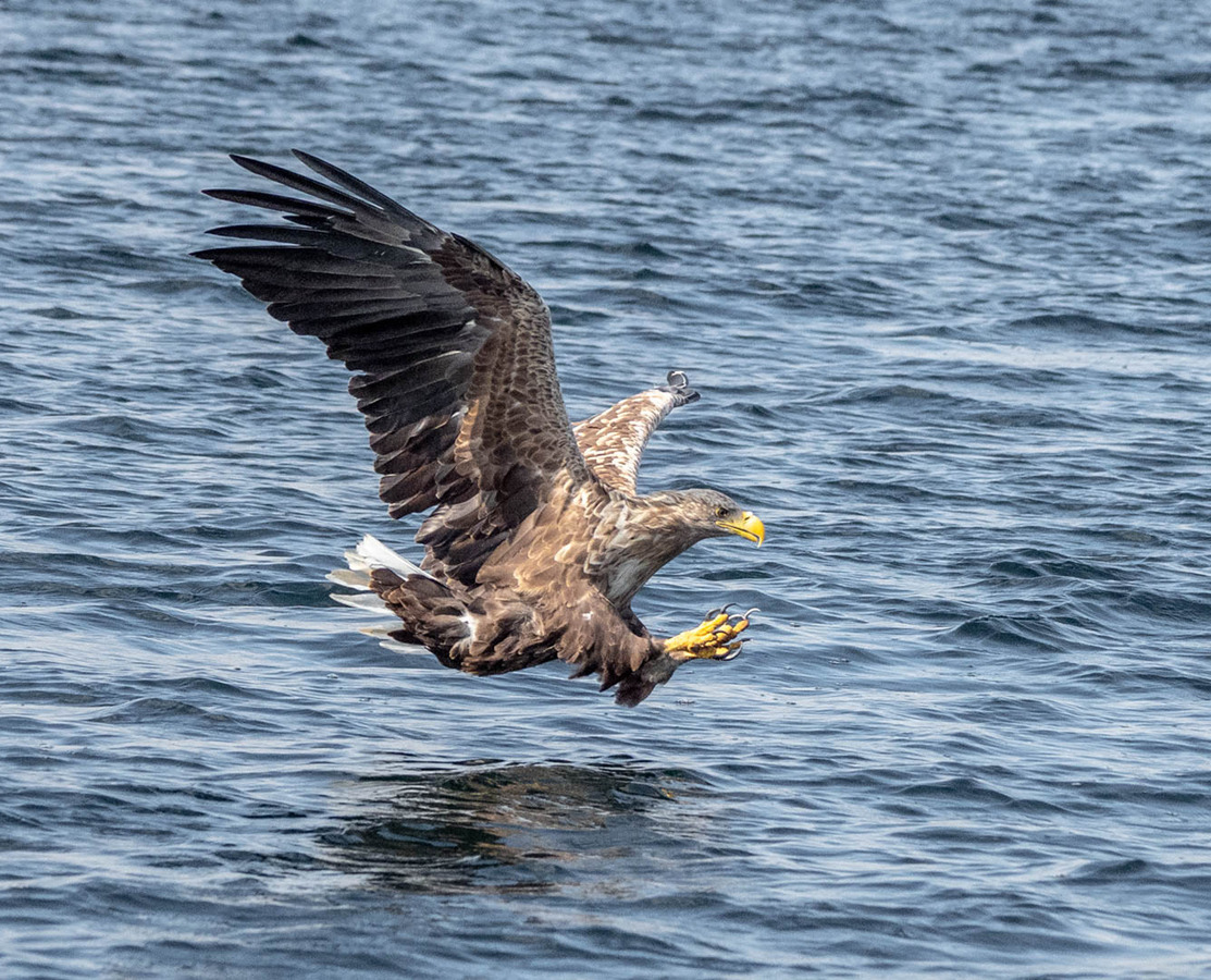 12 Preparing for the catch